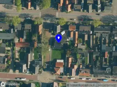 Liza Bongers Schilderwerken