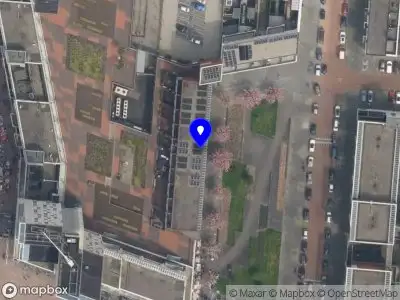 CM Consultancy van Rhijn