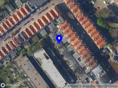 Lars the cat services