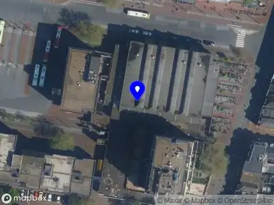 Nieuw bedrijf Mandarin Maven