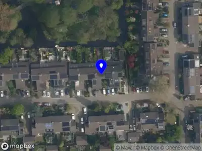 Dear Lifestyle Coach