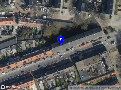 Studio Curious Marketing