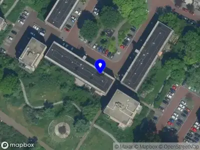 Nieuw bedrijf Yaya organic products