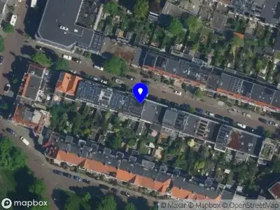 Saffabouw Haarlem