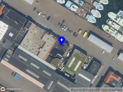 Domino Janowski IJmuiden