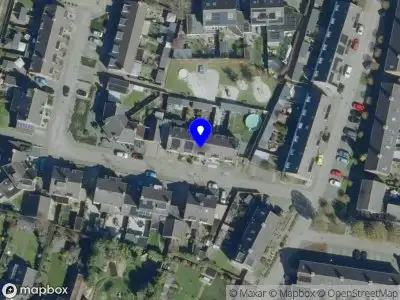 Roots Anne Heesakkers