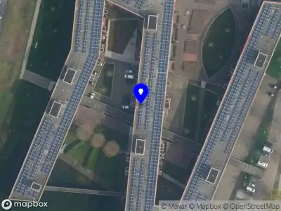 Oliveira Creations and Translations