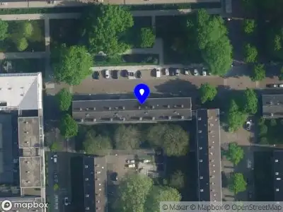 Nieuw bedrijf Everyday Gwennfay