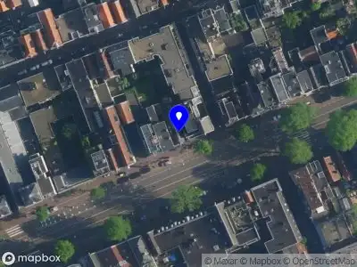 Roses of Jordan Amsterdam