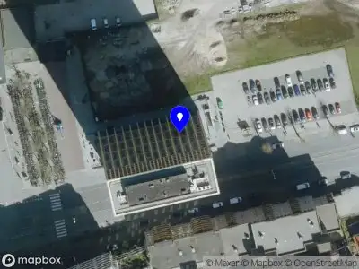 Figure Eight Organization