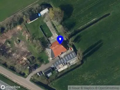 Dierenpension en Trimsalon Immer Moed