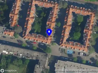 Esmé van der Krieke - kunsthistoricus