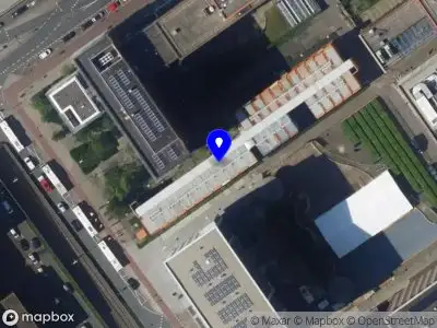 Nieuw bedrijf Hailey Cho