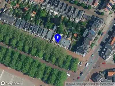 Nieuw bedrijf Bluebells Executive Coaching