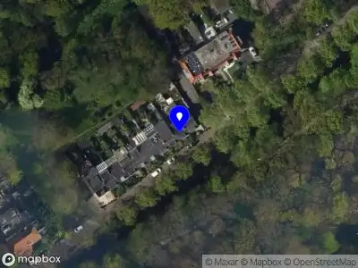 Eva Roosendaal Osteopathie voor honden