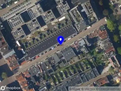 Enchanted Cotton Baby