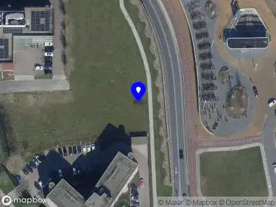 Luxe Sweet Delicious