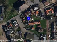 Ella Guzman Movement