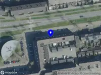 Rose Translations & Coaching