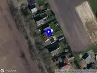 tree of life mediumschap