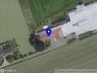 Shiitake kwekerij De Petrie