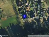 Roberto Boomverzorging