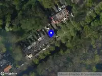 Eva Roosendaal Osteopathie voor honden