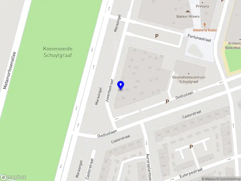 Veterinaire zorg aan huis