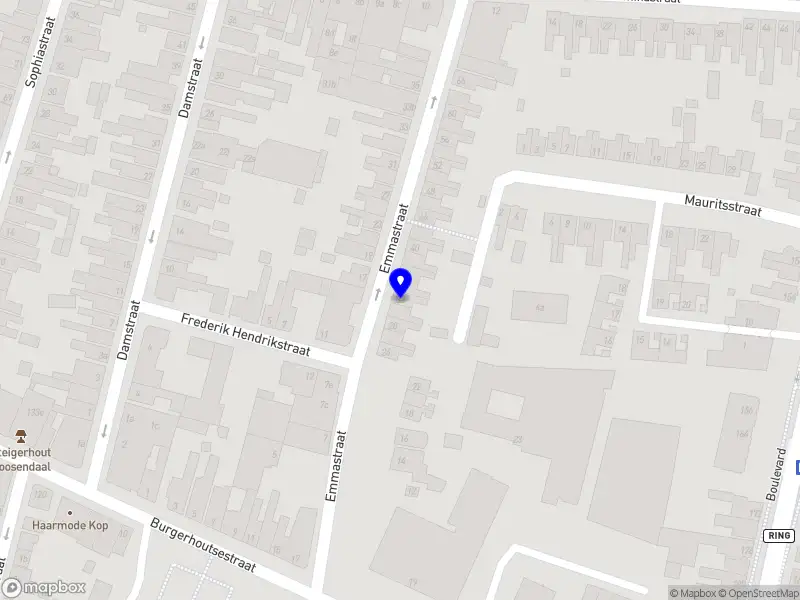 BMS Taxi Roosendaal