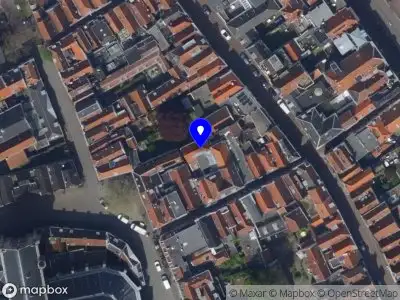 Yulia Kalemi 3D Leiden