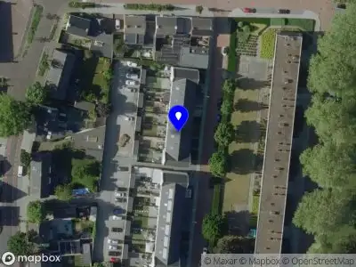 Blue Flamingo Entertainment