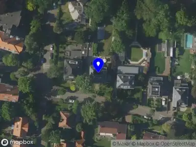 peace of cake festivals