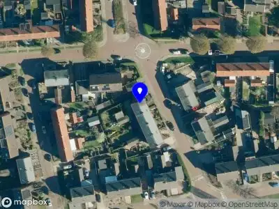 Boomverzorging Wesseling