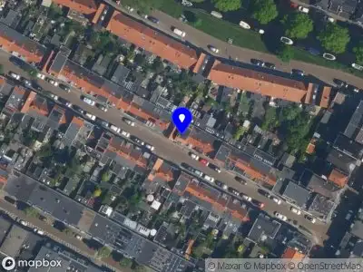 Albatross Intelligence Haarlem