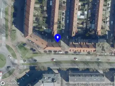 Manon den Ouden 's-Hertogenbosch