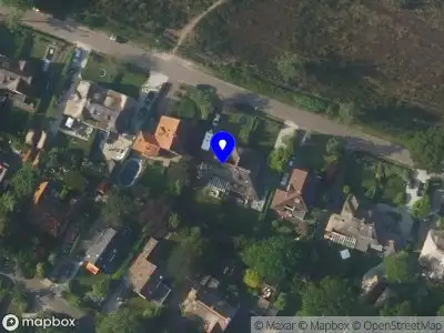 Damian van den bosch