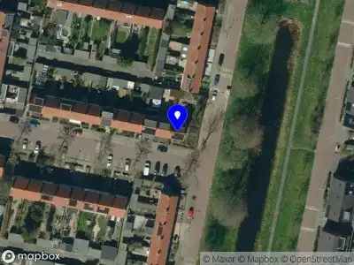 "Viburnum" Arnhem
