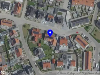 Ficino Consulting & Coaching