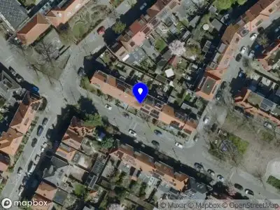 Lisa van den Putte - Pedagogiek