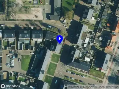 Chinese Geneeskunde Zhang tuina