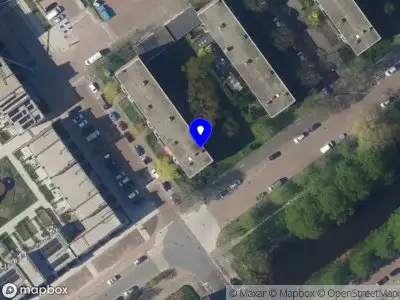 Radiance & Rhodonite