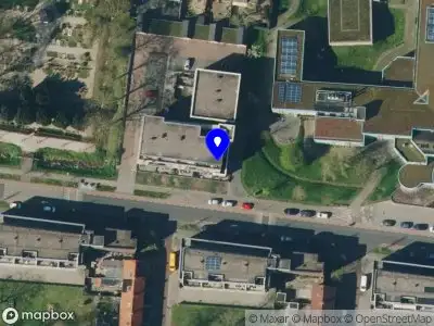 Dierfysiotherapie Sjouke van Rossum