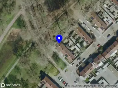 Blacksheep Electric Tattooing