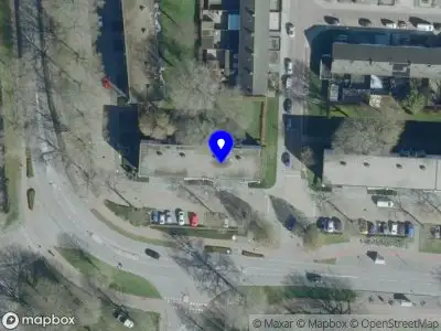 Bal trading international