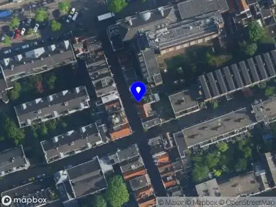 Zammy Taylored edge Amsterdam