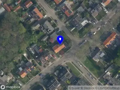 DDH Interim Management