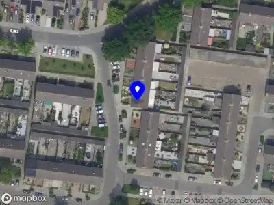 Master Clean Specialist