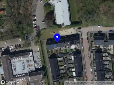 Nieuw bedrijf Mies Flowers and Creations