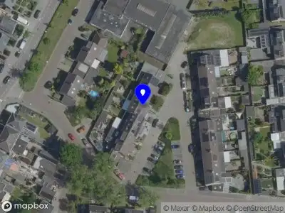 Reniers Social Growth