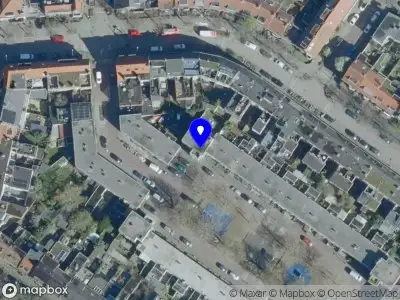 Singa Social 's-Hertogenbosch